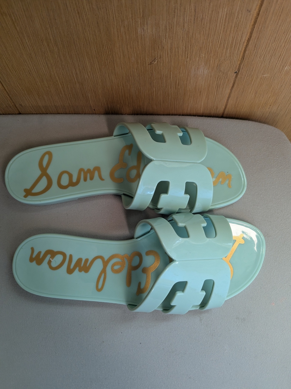 Sam Edelman Bay Jelly Sandals - Picture 2 of 5